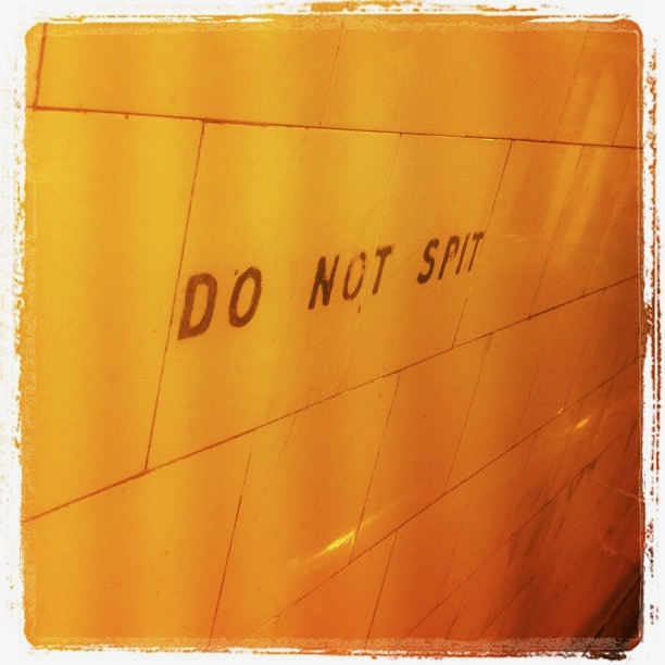 A "Do not spit" sign painted on a tiled wall beneath Flinders Street Station
